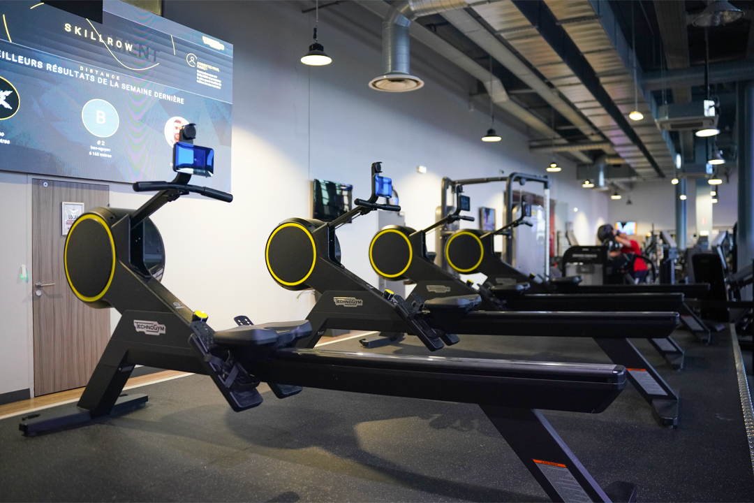 Musculation Cardio